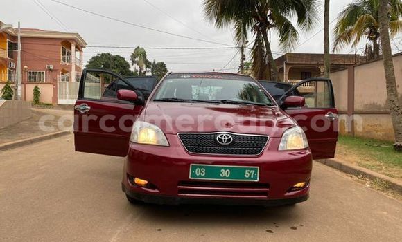 Buy Used Toyota Corolla Other Car in Yaounde in Central Cameroon