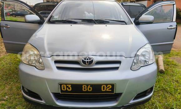 Buy Used Toyota Corolla Other Car in Yaounde in Central Cameroon