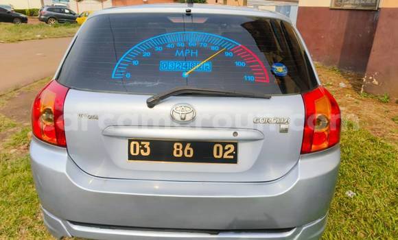 Acheter Occasion Voiture Toyota Corolla Autre à Yaoundé, Central Cameroon Acheter Occasion Voiture Toyota Corolla Autre à Yaoundé, Central Cameroon