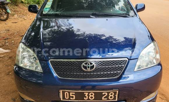 Acheter Occasion Voiture Toyota Corolla Noir à Yaoundé, Central Cameroon Acheter Occasion Voiture Toyota Corolla Noir à Yaoundé, Central Cameroon