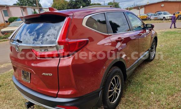 Acheter Occasion Voiture Honda CR–V Rouge à Yaoundé, Central Cameroon Acheter Occasion Voiture Honda CR–V Rouge à Yaoundé, Central Cameroon