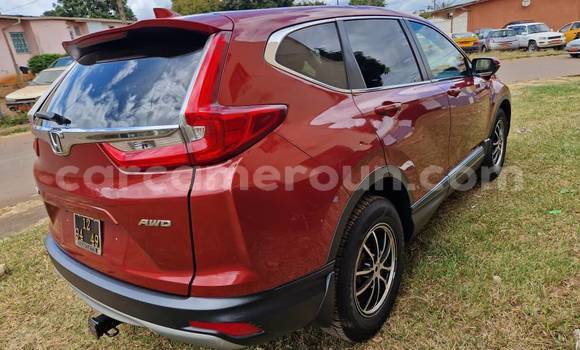 Acheter Occasion Voiture Honda CR–V Rouge à Yaoundé, Central Cameroon Acheter Occasion Voiture Honda CR–V Rouge à Yaoundé, Central Cameroon