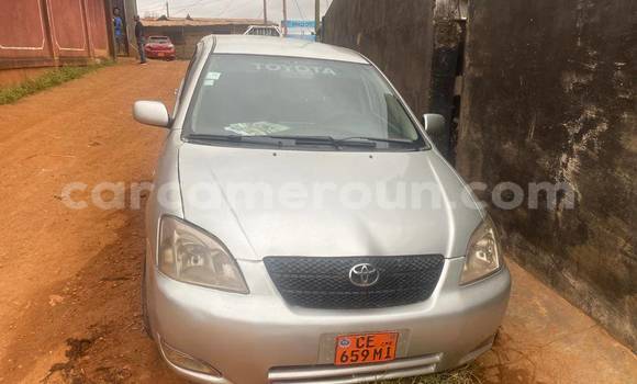 Acheter Occasion Voiture Toyota Corolla Autre à Yaoundé, Central Cameroon Acheter Occasion Voiture Toyota Corolla Autre à Yaoundé, Central Cameroon