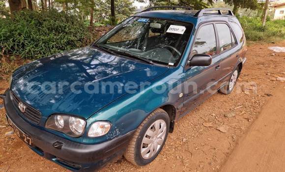 Buy Used Toyota Corolla Blue Car in Yaounde in Central Cameroon Buy Used Toyota Corolla Blue Car in Yaounde in Central Cameroon