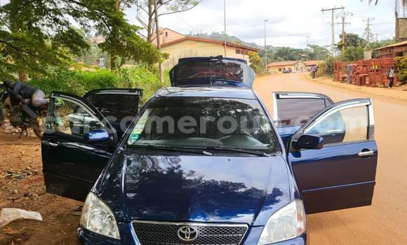 Acheter Occasion Voiture Toyota Corolla Bleu à Yaoundé, Central Cameroon Acheter Occasion Voiture Toyota Corolla Bleu à Yaoundé, Central Cameroon