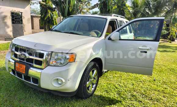 Acheter Occasion Voiture Ford Escape Blanc à Yaoundé, Central Cameroon