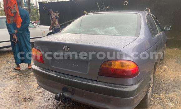 Acheter Occasion Voiture Toyota Avensis Gris à Douala, Littoral Cameroon Acheter Occasion Voiture Toyota Avensis Gris à Douala, Littoral Cameroon