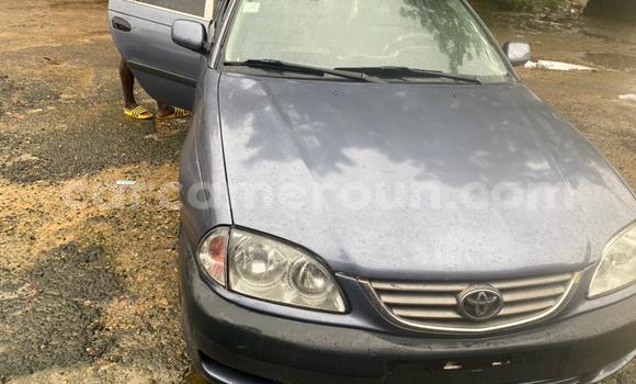 Acheter Occasion Voiture Toyota Avensis Gris à Douala, Littoral Cameroon Acheter Occasion Voiture Toyota Avensis Gris à Douala, Littoral Cameroon