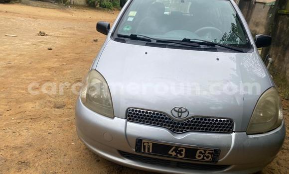 Acheter Occasion Voiture Toyota Yaris Gris à Douala, Littoral Cameroon Acheter Occasion Voiture Toyota Yaris Gris à Douala, Littoral Cameroon