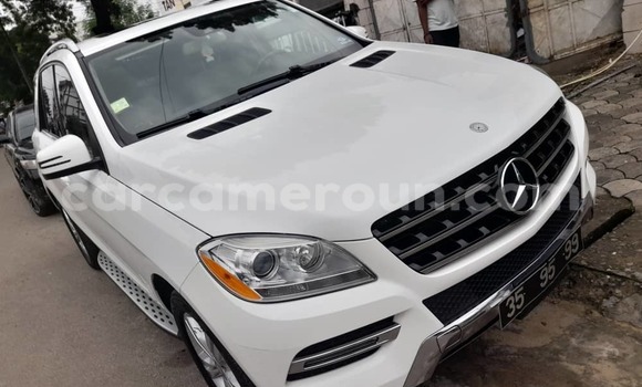 Acheter Occasion Voiture Mercedes‒Benz ML–Class Blanc à Douala, Littoral Cameroon