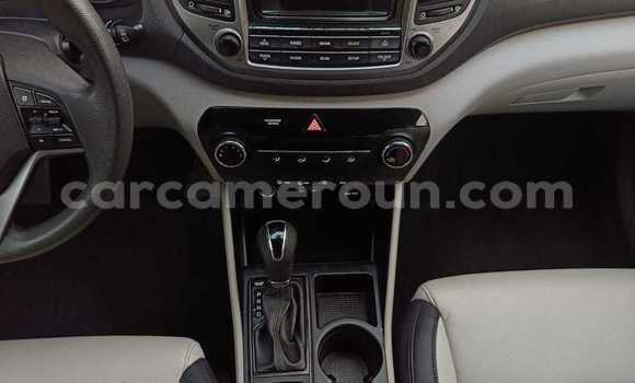 Buy Used Hyundai Tucson Brown Car in Douala in Littoral Cameroon Buy Used Hyundai Tucson Brown Car in Douala in Littoral Cameroon