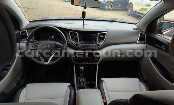 Buy Used Hyundai Tucson Brown Car in Douala in Littoral Cameroon Buy Used Hyundai Tucson Brown Car in Douala in Littoral Cameroon