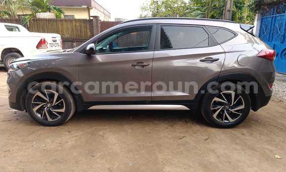 Buy Used Hyundai Tucson Brown Car in Douala in Littoral Cameroon Buy Used Hyundai Tucson Brown Car in Douala in Littoral Cameroon