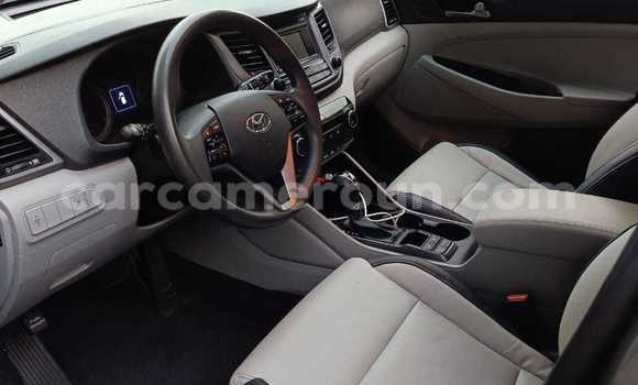 Buy Used Hyundai Tucson Brown Car in Douala in Littoral Cameroon Buy Used Hyundai Tucson Brown Car in Douala in Littoral Cameroon