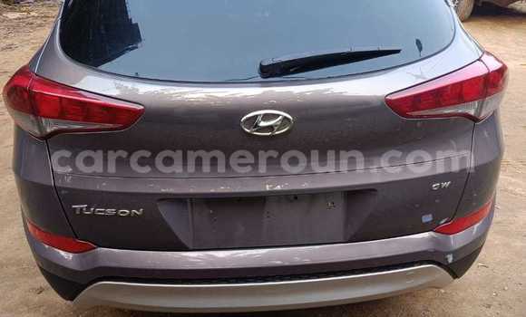 Buy Used Hyundai Tucson Brown Car in Douala in Littoral Cameroon Buy Used Hyundai Tucson Brown Car in Douala in Littoral Cameroon