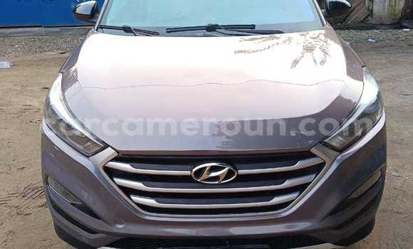 Acheter Occasion Voiture Hyundai Tucson Marron à Douala, Littoral Cameroon