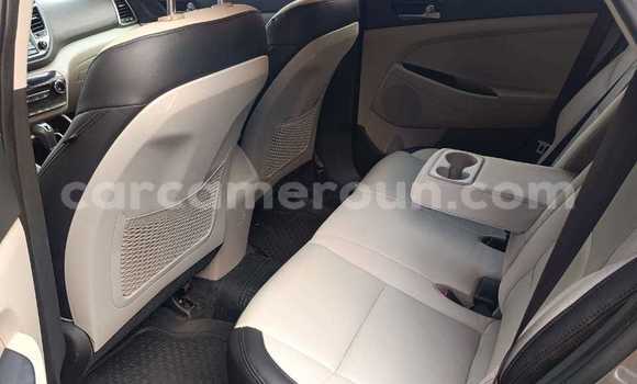 Sayi Na hannu Hyundai Tucson Brown Mota in Douala a Ƙasar Kamaru Sayi Na hannu Hyundai Tucson Brown Mota in Douala a Ƙasar Kamaru