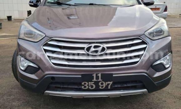 Sayi Na hannu Hyundai Santa Fe Sauran Mota in Douala a Ƙasar Kamaru