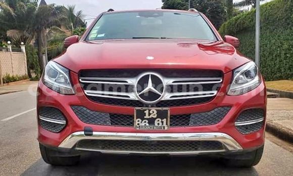 Buy Used Mercedes‒Benz GLE Other Car in Douala in Littoral Cameroon