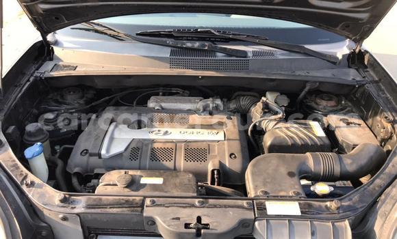 Acheter Occasion Voiture Hyundai Tucson Noir à Douala, Littoral Cameroon Acheter Occasion Voiture Hyundai Tucson Noir à Douala, Littoral Cameroon