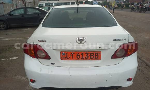 Sayi Na hannu Toyota Corolla White Mota in Yaounde a Babban Kamaru Sayi Na hannu Toyota Corolla White Mota in Yaounde a Babban Kamaru