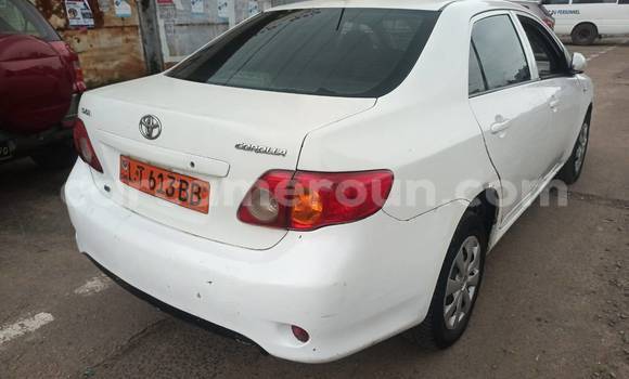 Sayi Na hannu Toyota Corolla White Mota in Yaounde a Babban Kamaru Sayi Na hannu Toyota Corolla White Mota in Yaounde a Babban Kamaru