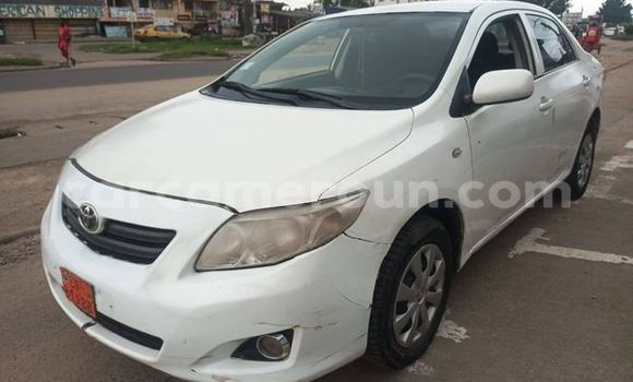 Sayi Na hannu Toyota Corolla White Mota in Yaounde a Babban Kamaru Sayi Na hannu Toyota Corolla White Mota in Yaounde a Babban Kamaru