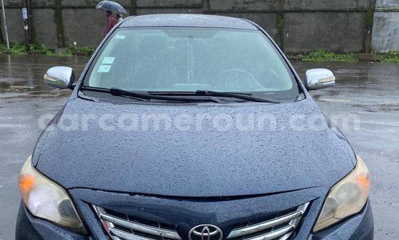 Sayi Na hannu Toyota Corolla Sauran Mota in Yaounde a Babban Kamaru