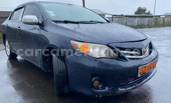 Sayi Na hannu Toyota Corolla Sauran Mota in Yaounde a Babban Kamaru Sayi Na hannu Toyota Corolla Sauran Mota in Yaounde a Babban Kamaru