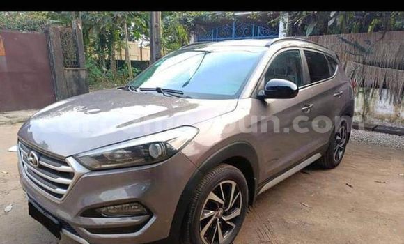 Sayi Na hannu Hyundai Tucson Sauran Mota in Yaounde a Babban Kamaru Sayi Na hannu Hyundai Tucson Sauran Mota in Yaounde a Babban Kamaru