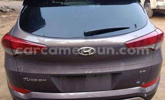 Sayi Na hannu Hyundai Tucson Sauran Mota in Yaounde a Babban Kamaru Sayi Na hannu Hyundai Tucson Sauran Mota in Yaounde a Babban Kamaru