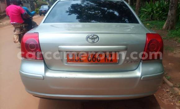 Buy Used Toyota Avensis Other Car in Yaounde in Central Cameroon Buy Used Toyota Avensis Other Car in Yaounde in Central Cameroon