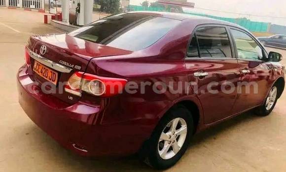 Buy Used Toyota Camry Red Car in Yaounde in Central Cameroon Buy Used Toyota Camry Red Car in Yaounde in Central Cameroon