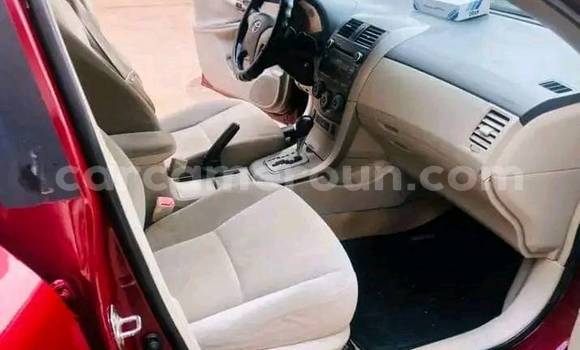 Buy Used Toyota Camry Red Car in Yaounde in Central Cameroon Buy Used Toyota Camry Red Car in Yaounde in Central Cameroon