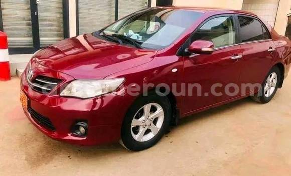 Buy Used Toyota Camry Red Car in Yaounde in Central Cameroon Buy Used Toyota Camry Red Car in Yaounde in Central Cameroon