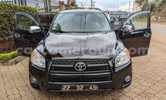 Buy Used Toyota RAV4 Black Car in Yaounde in Central Cameroon