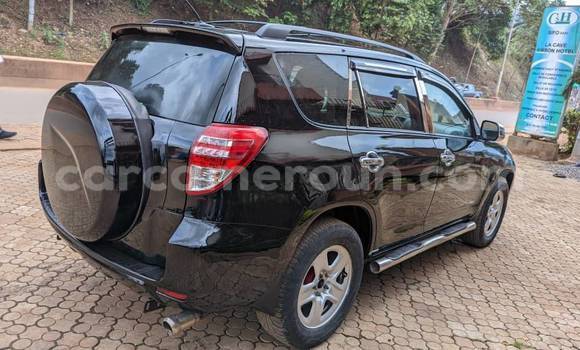 Buy Used Toyota RAV4 Black Car in Yaounde in Central Cameroon Buy Used Toyota RAV4 Black Car in Yaounde in Central Cameroon