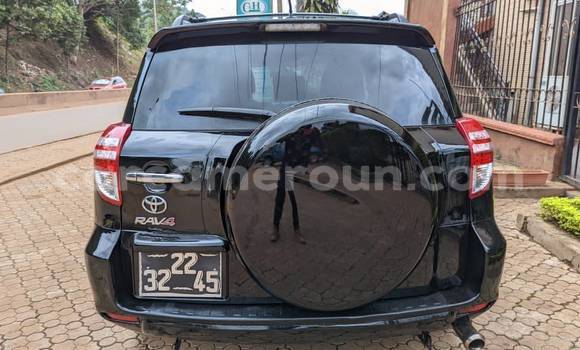 Buy Used Toyota RAV4 Black Car in Yaounde in Central Cameroon Buy Used Toyota RAV4 Black Car in Yaounde in Central Cameroon