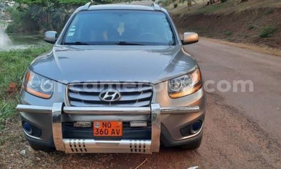 Sayi Na hannu Hyundai Santa Fe Sauran Mota in Yaounde a Babban Kamaru