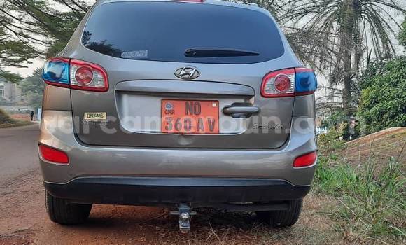 Buy Used Hyundai Santa Fe Other Car in Yaounde in Central Cameroon Buy Used Hyundai Santa Fe Other Car in Yaounde in Central Cameroon