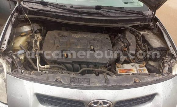 Acheter Occasion Voiture Toyota Auris Autre à Yaoundé, Central Cameroon Acheter Occasion Voiture Toyota Auris Autre à Yaoundé, Central Cameroon