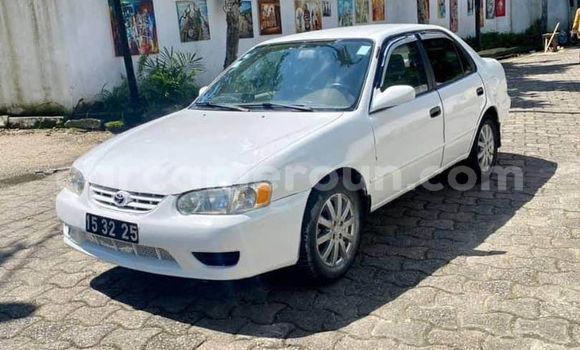 Acheter Occasion Voiture Toyota Corolla Autre à Yaoundé, Central Cameroon Acheter Occasion Voiture Toyota Corolla Autre à Yaoundé, Central Cameroon