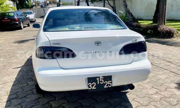 Acheter Occasion Voiture Toyota Corolla Autre à Yaoundé, Central Cameroon Acheter Occasion Voiture Toyota Corolla Autre à Yaoundé, Central Cameroon