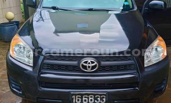 Acheter Occasion Voiture Toyota RAV4 Noir à Yaoundé, Central Cameroon Acheter Occasion Voiture Toyota RAV4 Noir à Yaoundé, Central Cameroon