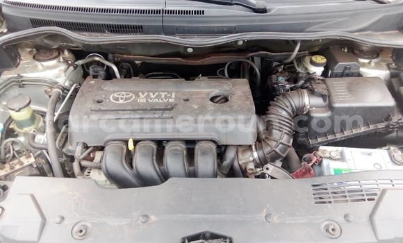 Sayi Na hannu Toyota Corolla Azurfa Mota in Yaounde a Babban Kamaru Sayi Na hannu Toyota Corolla Azurfa Mota in Yaounde a Babban Kamaru