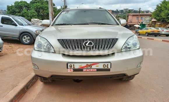 Buy Used Lexus RX 300 Brown Car in Yaounde in Central Cameroon