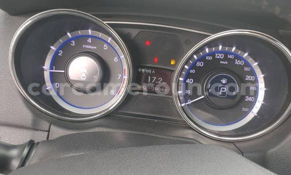 Acheter Occasion Voiture Hyundai Sonata Gris à Yaoundé, Central Cameroon Acheter Occasion Voiture Hyundai Sonata Gris à Yaoundé, Central Cameroon