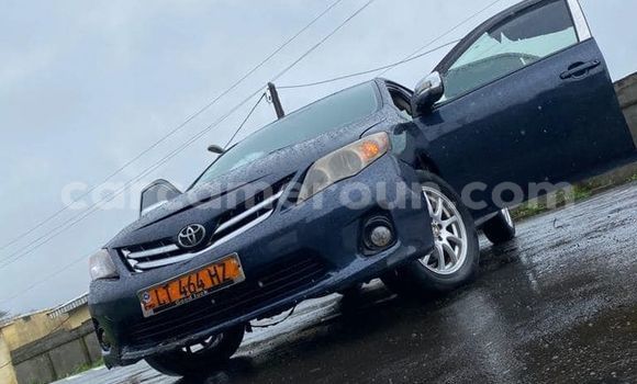 Acheter Occasion Voiture Toyota Corolla Bleu à Buea, Southwest Cameroon Acheter Occasion Voiture Toyota Corolla Bleu à Buea, Southwest Cameroon