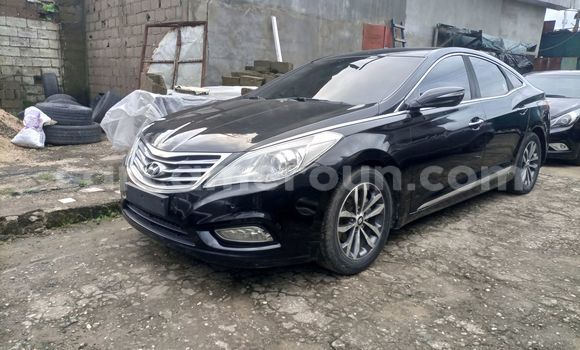 Sayi Na hannu Hyundai Grandeur Black Mota in Douala a Ƙasar Kamaru