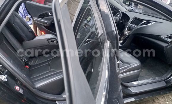 Buy Used Hyundai Grandeur Black Car in Douala in Littoral Cameroon Buy Used Hyundai Grandeur Black Car in Douala in Littoral Cameroon